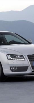 AUDI A5 (8T3) 2.0 TFSI (211 Hp) multitronic Karakteristik teknis
