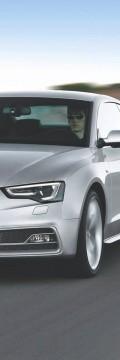 AUDI S5 Restyling 3.0 AT (333hp) 4WD Karakteristik teknis

