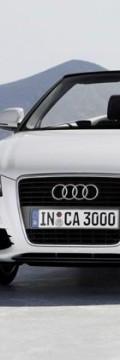AUDI A3 Cabriolet 1.6 (102 Hp) Karakteristik teknis
