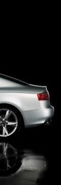 AUDI A5 (8T3) 2.0 TFSI (211 Hp) multitronic Karakteristik teknis
