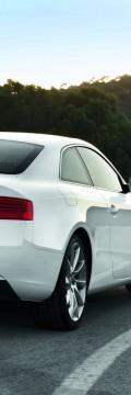 AUDI A5 Restyling 2.0d MT (163hp) Karakteristik teknis
