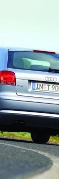 AUDI Поколение
 A3 (8P) 1.9 TDI (105 Hp) DPF Технически характеристики
