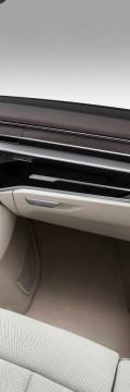 AUDI A8 IV (D5) 4.0 AT (460hp) 4x4 Karakteristik teknis
