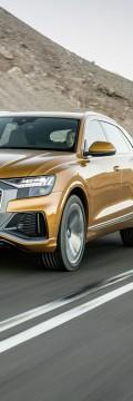 AUDI Modelo
  Q8  Características técnicas
