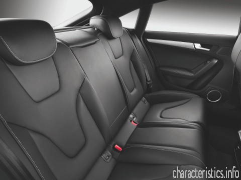 AUDI Generație
 S5 Liftback Restyling 3.0 AT (333hp) 4WD Caracteristici tehnice
